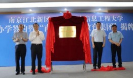 吉林木材厂爆料信息网最新,揭秘行业黑幕，探寻绿色环保之路