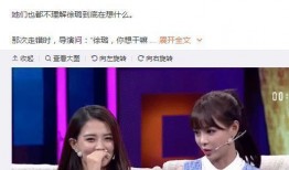 沈梦辰爆料徐璐视频,揭秘背后真相与情感纠葛